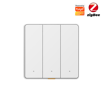 Zigbee Smart Switch senza condensatore con Timing Voice App Alexa Google Home No Neutral Tuya Wall Light Button Switch