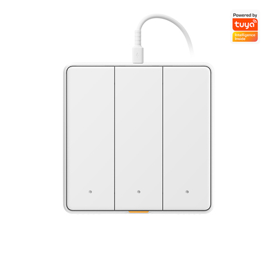 Tuya WIFI touch Switch Smart home con tipo C Timing Voice App Alexa, Google Home RF433 Smart EU Wall Light Button Switch